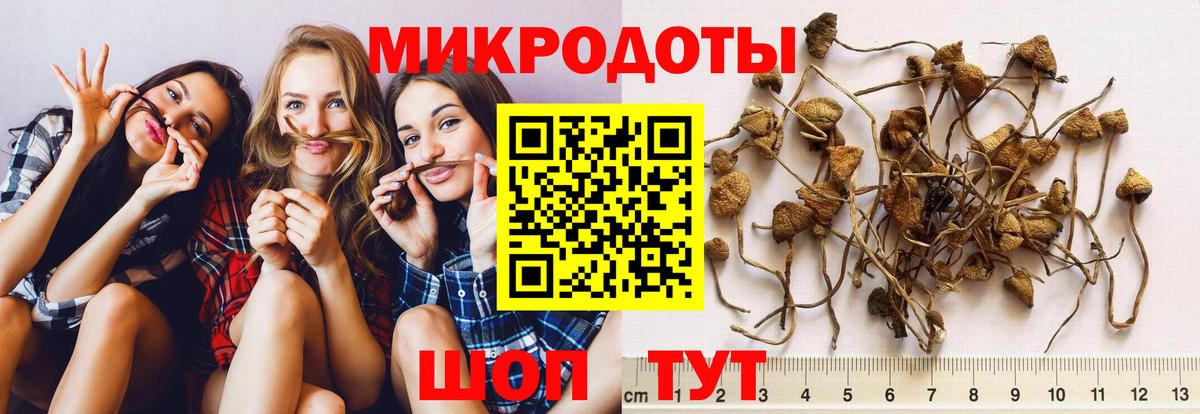 Пыть-Ях  Псилоцибиновые грибы Magic Shrooms  Вход с VPN 